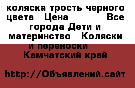 коляска трость черного цвета › Цена ­ 3 500 - Все города Дети и материнство » Коляски и переноски   . Камчатский край